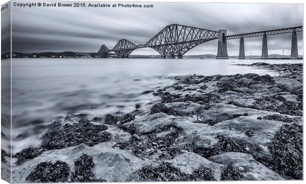  River Forth Canvas Print by David Brown