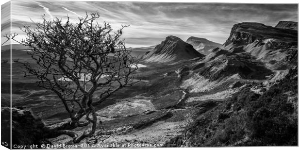 The Quiraing No7 Canvas Print by David Brown