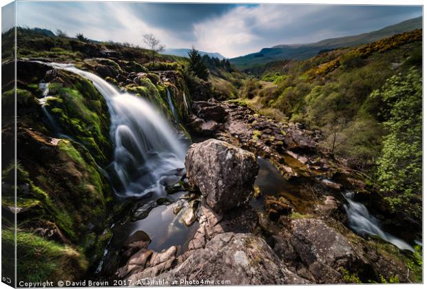 Loup of Fintry Waterfall Canvas Print by David Brown