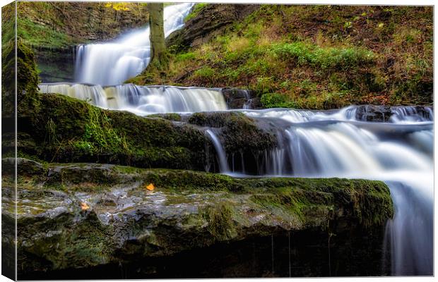 Scaleber Force Canvas Print by Steven Purcell