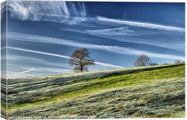 Lonely trees at daybreak Canvas Print by Mike Jennings