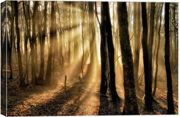 Misty rays Canvas Print by Mike Jennings