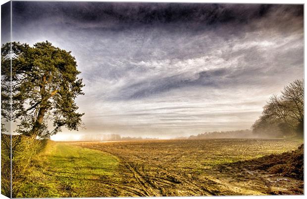 Winter scene Canvas Print by Mike Jennings