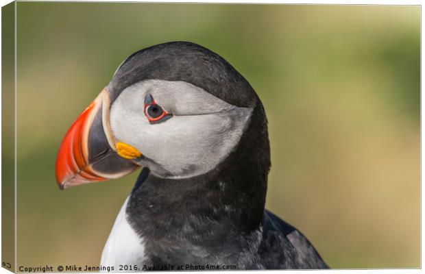 Portrait of a Puffin Canvas Print by Mike Jennings