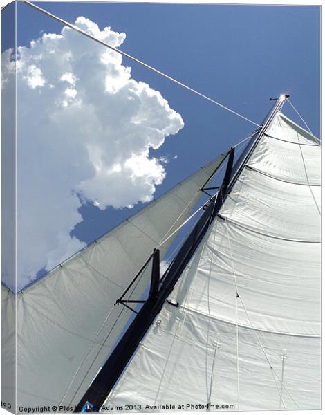 Sailing in the Sun Canvas Print by Pics by Jody Adams