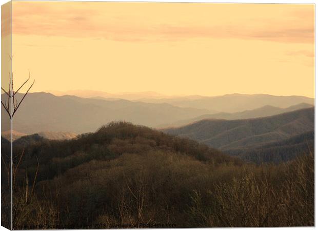 View of the Smokies Canvas Print by Pics by Jody Adams