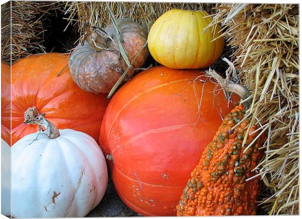 Pumpkins Canvas Print by Pics by Jody Adams