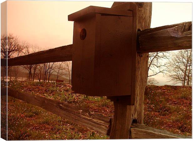 BirdHouse on the Fence Canvas Print by Pics by Jody Adams