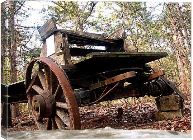Worn out Wagon Canvas Print by Pics by Jody Adams