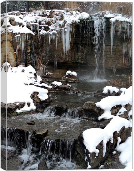 Icicles Canvas Print by Pics by Jody Adams