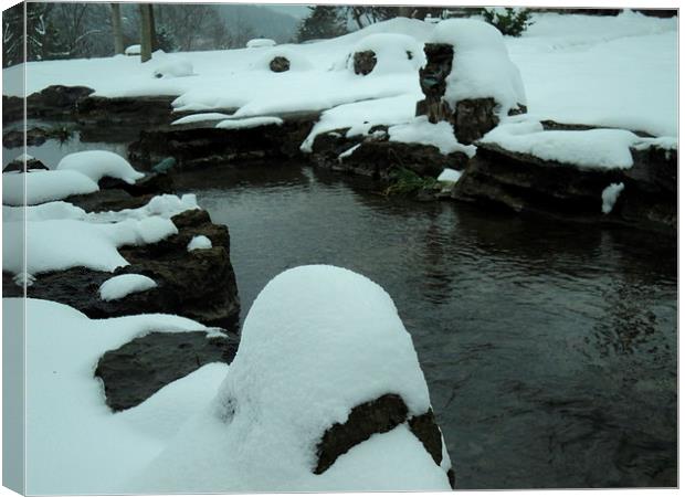 Snow on the Rocks Canvas Print by Pics by Jody Adams