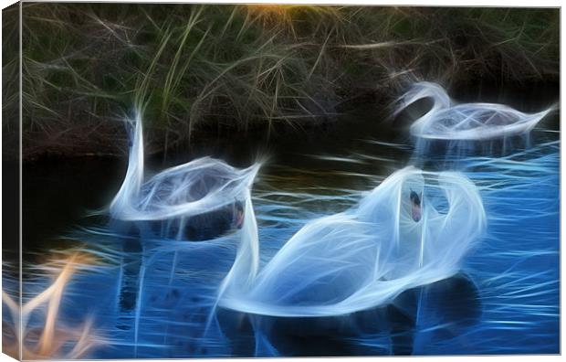 fractal swans Canvas Print by kev bates