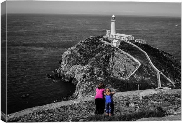 A view on the lighthouse Canvas Print by Tim Finch
