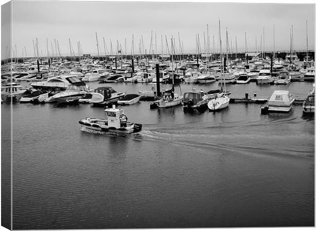 Harbour Master Canvas Print by Colin Richards