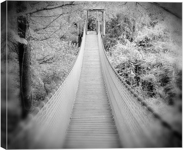 Bridging the gap Canvas Print by Colin Richards