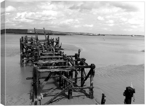 Derelict Jetty Canvas Print by Colin Richards