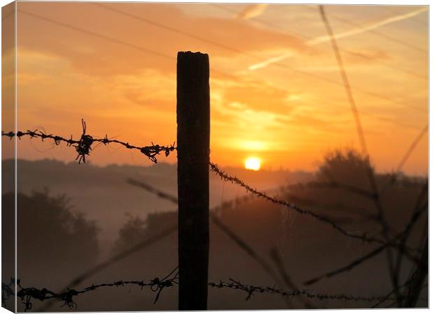 Early morning sunrise and Mist Canvas Print by Colin Richards