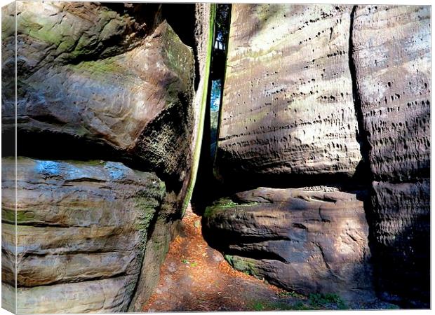 Ancient Sandstone Canvas Print by Colin Richards