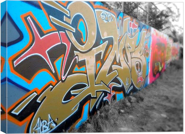  Urban Wall Graffiti  Canvas Print by Colin Richards