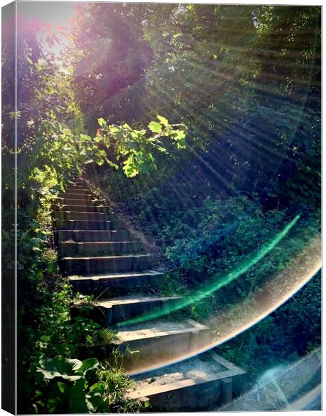 Stairway  Canvas Print by Colin Richards