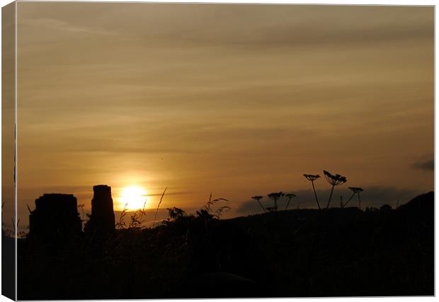 Sunset at Easby Abbey Canvas Print by Susan Mundell