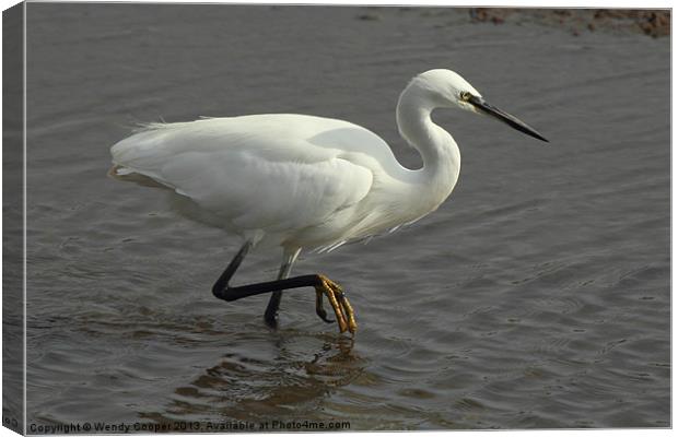 Little Egret Out to Lunch Canvas Print by Wendy Cooper