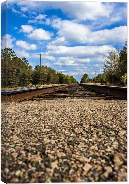Rail tracks Canvas Print by David Skone