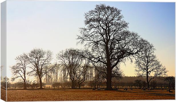 Cumbria Dawn Canvas Print by Craig Roper