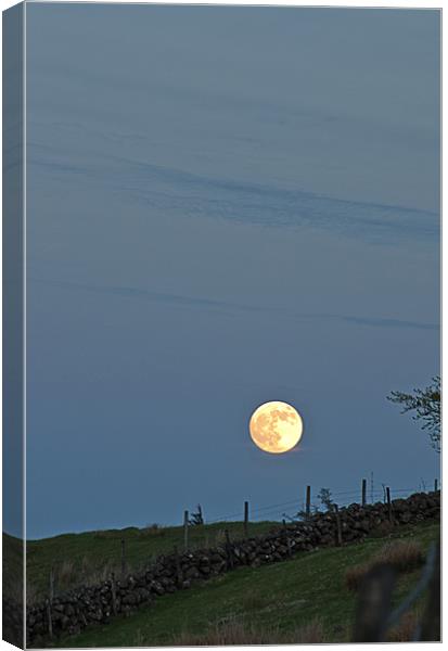 Moonrise over the Collin Canvas Print by Peter Lennon