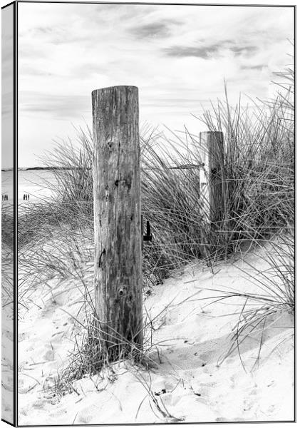The Dunes Canvas Print by Peter Lennon