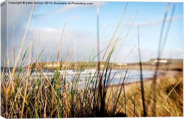 Simply Runkerry Canvas Print by Peter Lennon