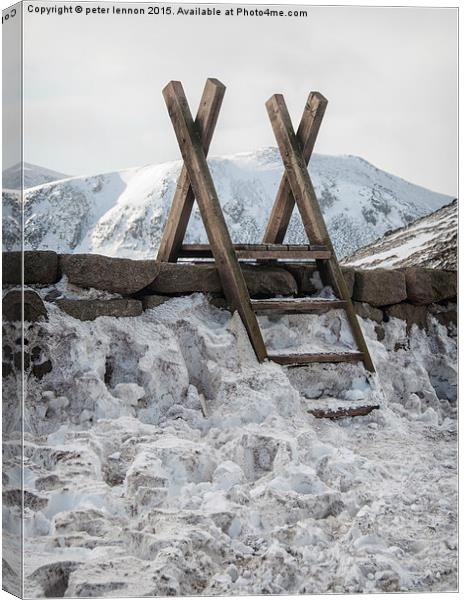  The Stile Canvas Print by Peter Lennon