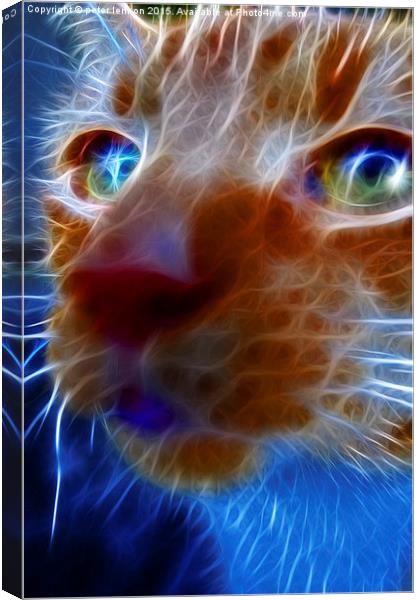  Neon Cat Canvas Print by Peter Lennon