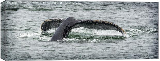  A Whale Of A Tail  Canvas Print by Peter Lennon