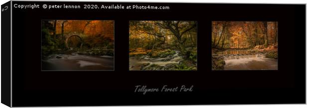 Tollymore Tryptch  Canvas Print by Peter Lennon