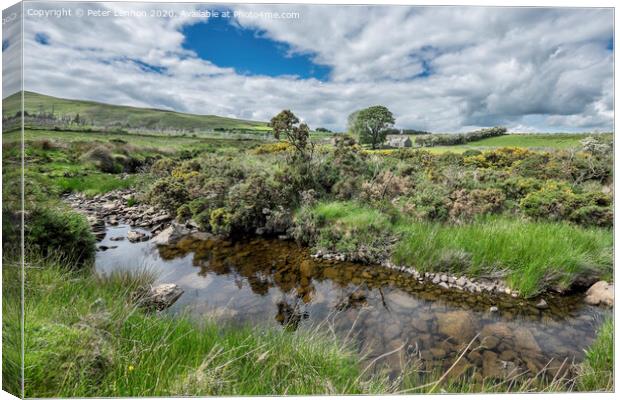 Lower Mournes Cottage Canvas Print by Peter Lennon