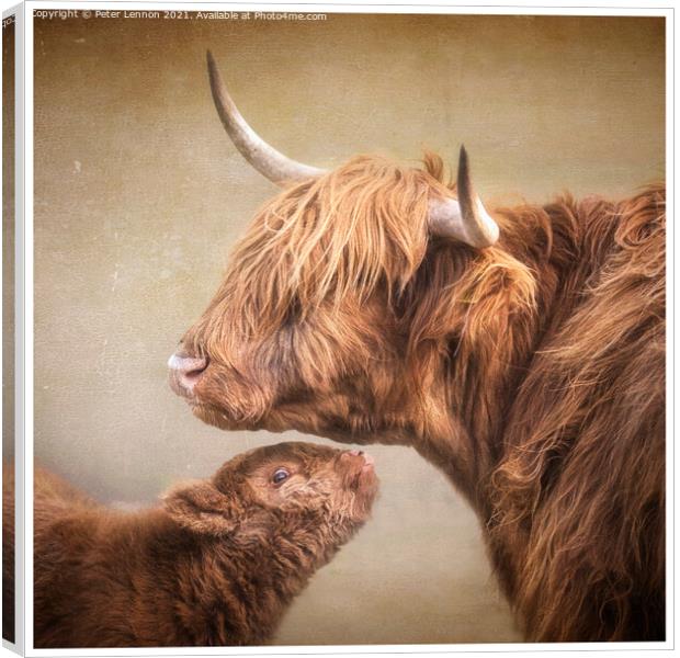 Mother & Baby Canvas Print by Peter Lennon