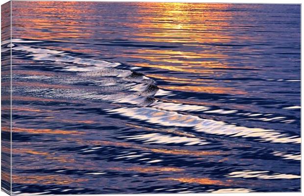Waves Meet The Sunset Canvas Print by Anne Macdonald