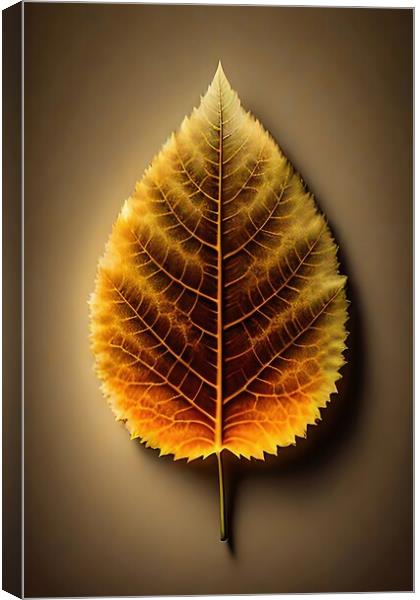 Autumn Leaf Canvas Print by Anne Macdonald