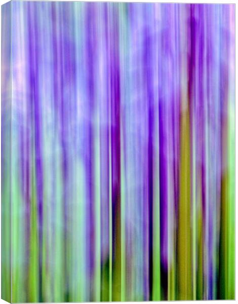 Bluebell Abstract Canvas Print by Anne Macdonald