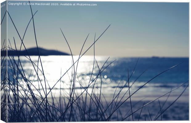 Looking Out Over Meal Beach And Beyond Canvas Print by Anne Macdonald