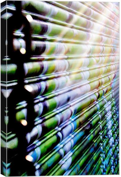 Metal shutter Canvas Print by Georgie Lilly