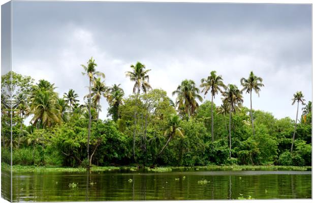 Backwaters Canvas Print by Georgie Lilly