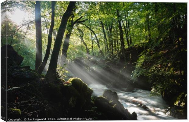 A Special Place Canvas Print by Jon Lingwood