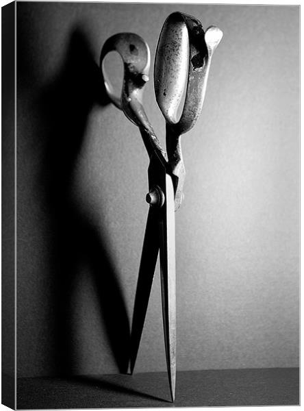 Tailor's Scissors Canvas Print by Martin Doheny