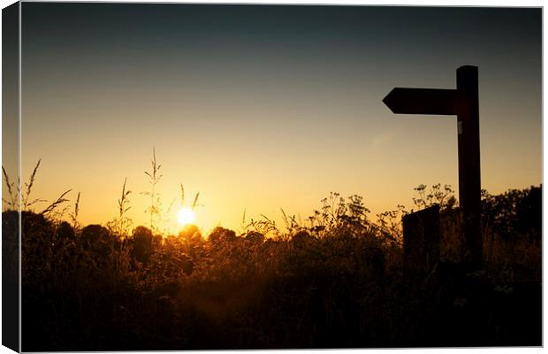 Lincolnshire sign post at sunset Canvas Print by Ray Nelson