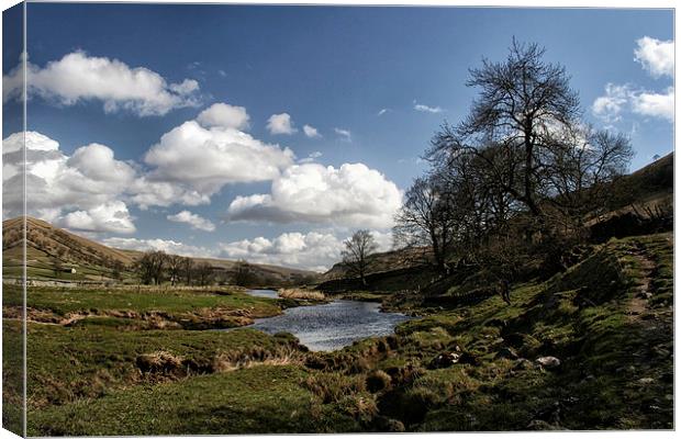 Yorkshire Dales View Canvas Print by Ray Nelson