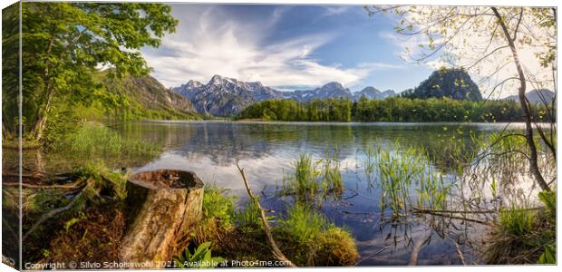 Early summer at the Almsee Canvas Print by Silvio Schoisswohl