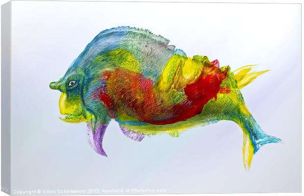 bullfish Canvas Print by Silvio Schoisswohl