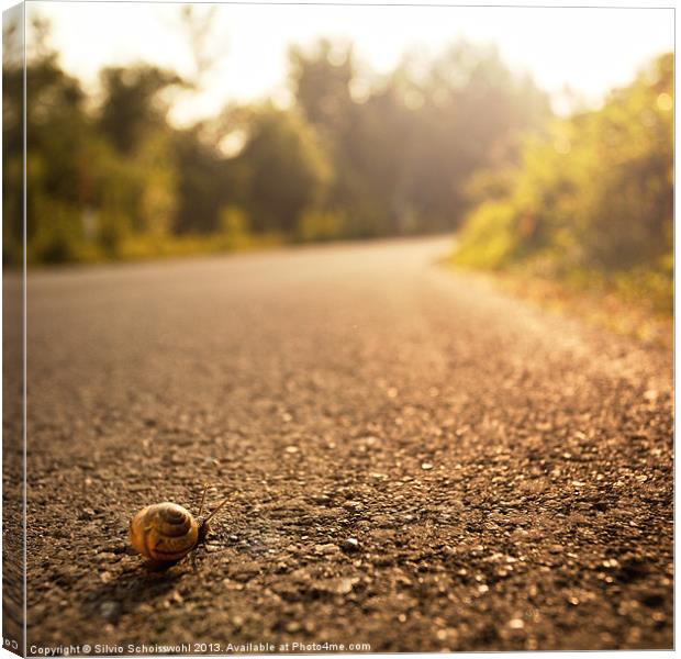 long way home Canvas Print by Silvio Schoisswohl